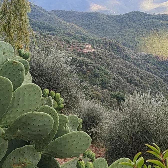 Appartamento Incantevole La Grotta Априкале Екстериор снимка